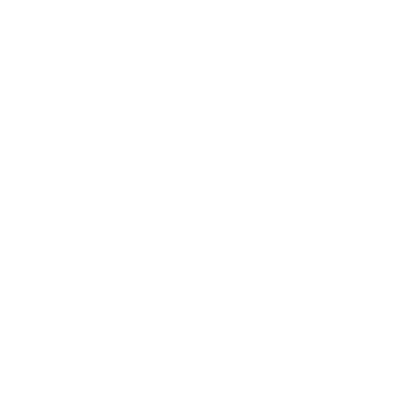 TehSetup.ru Logo